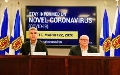 Uncharted territory: Pandemic declared